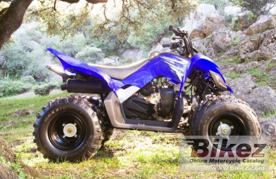 2009 Yamaha YFM90 photo